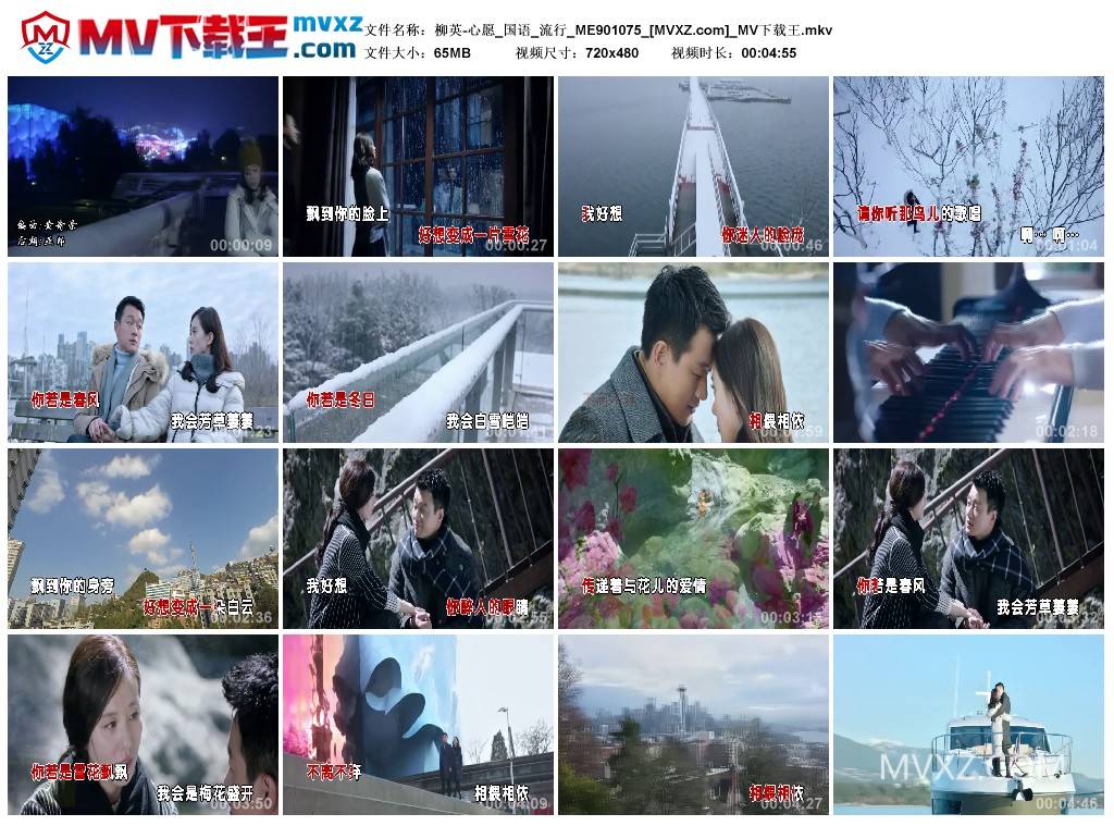 柳英-心愿_国语_流行_ME901075